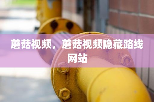 蘑菇视频，蘑菇视频隐藏路线网站