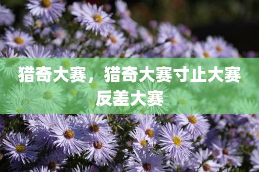 猎奇大赛，猎奇大赛寸止大赛反差大赛