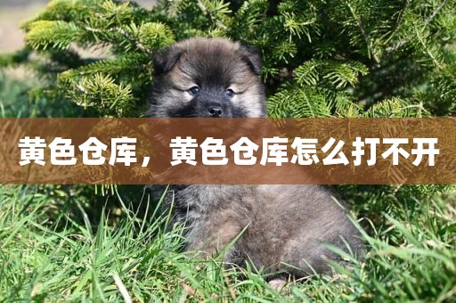 黄色仓库，黄色仓库怎么打不开