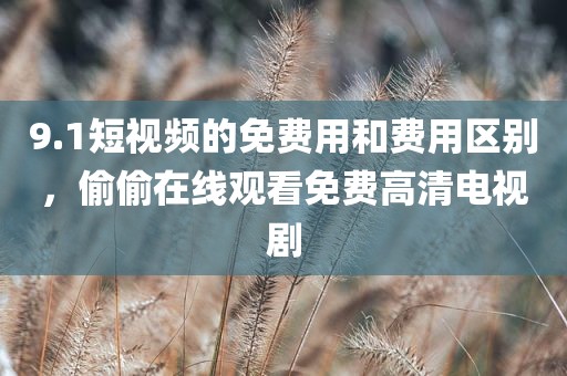 9.1短视频的免费用和费用区别，偷偷在线观看免费高清电视剧
