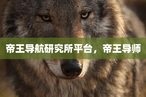 帝王导航研究所平台，帝王导师
