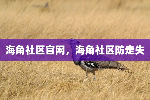 海角社区官网，海角社区防走失