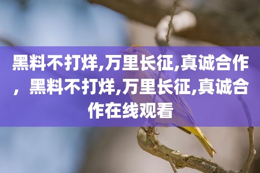 黑料不打烊,万里长征,真诚合作，黑料不打烊,万里长征,真诚合作在线观看