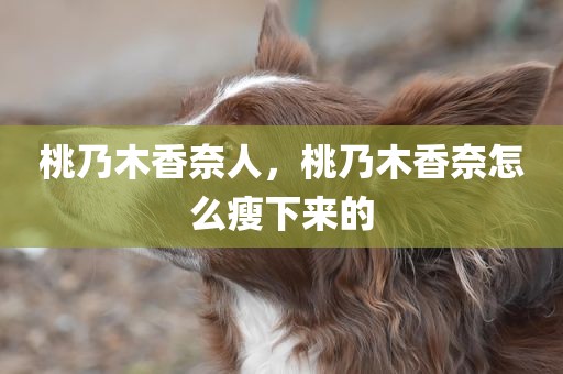 桃乃木香奈人，桃乃木香奈怎么瘦下来的