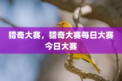 猎奇大赛，猎奇大赛每日大赛今日大赛