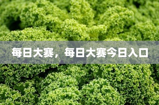 每日大赛，每日大赛今日入口