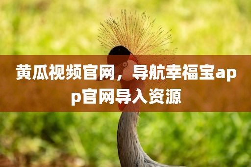 黄瓜视频官网，导航幸福宝app官网导入资源