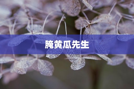 腌黄瓜先生