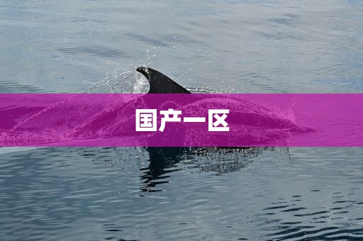 国产一区