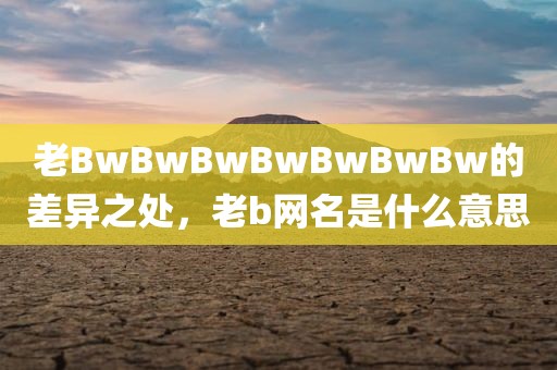 老BwBwBwBwBwBwBw的差异之处，老b网名是什么意思
