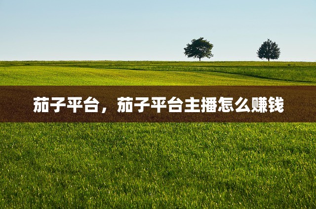 茄子平台，茄子平台主播怎么赚钱