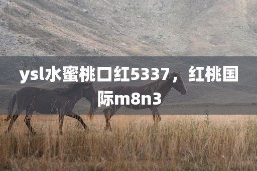 ysl水蜜桃口红5337，红桃国际m8n3