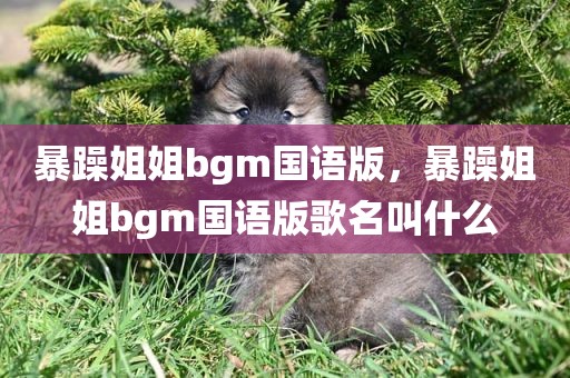 暴躁姐姐bgm国语版，暴躁姐姐bgm国语版歌名叫什么