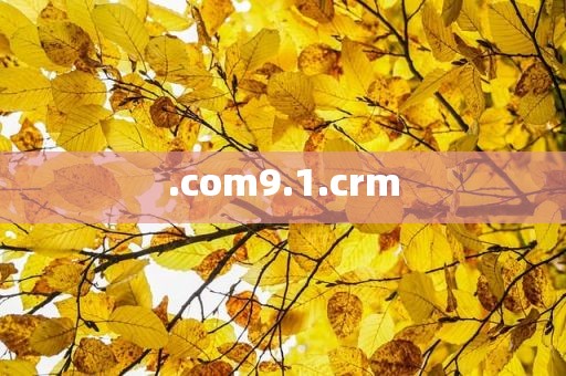 .com9.1.crm