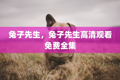 兔子先生，兔子先生高清观看免费全集