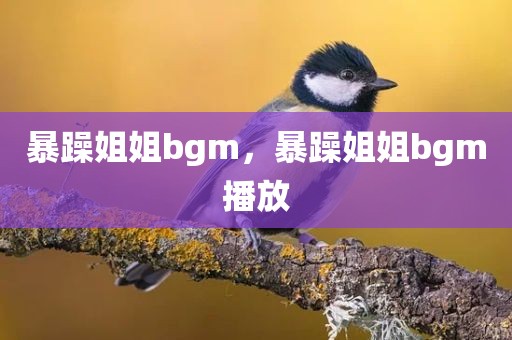 暴躁姐姐bgm，暴躁姐姐bgm播放