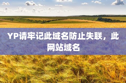 YP请牢记此域名防止失联，此网站域名