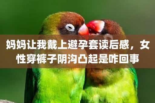 妈妈让我戴上避孕套读后感，女性穿裤子阴沟凸起是咋回事