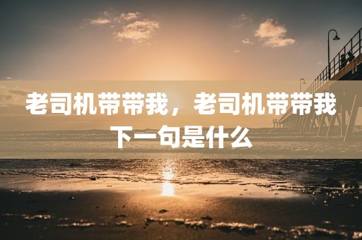 老司机带带我，老司机带带我下一句是什么