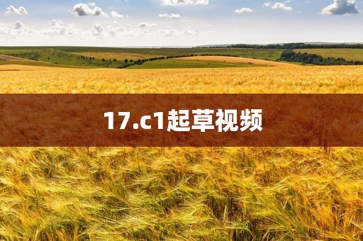 17.c1起草视频