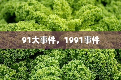 91大事件，1991事件