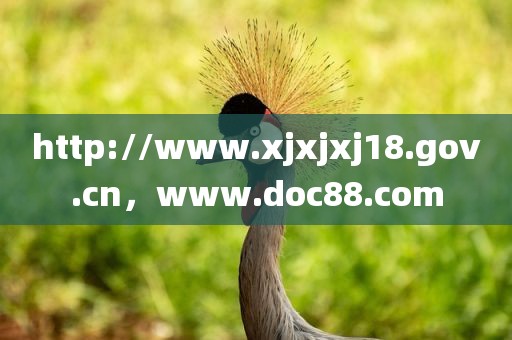 http://www.xjxjxj18.gov.cn，www.doc88.com