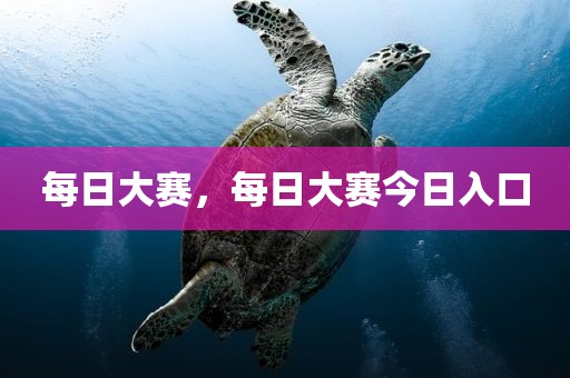 每日大赛，每日大赛今日入口