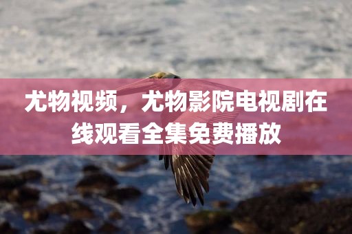 尤物视频，尤物影院电视剧在线观看全集免费播放