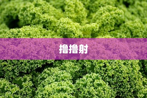 撸撸射