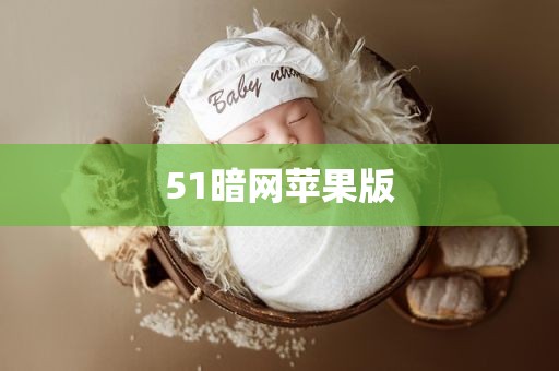 51暗网苹果版