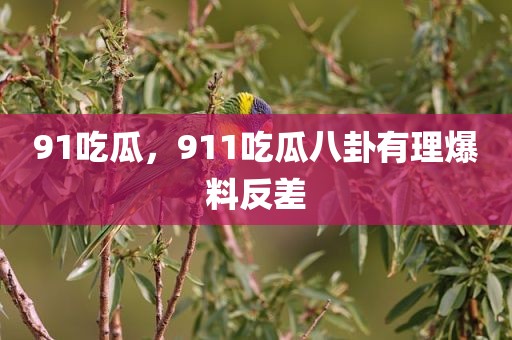 91吃瓜，911吃瓜八卦有理爆料反差