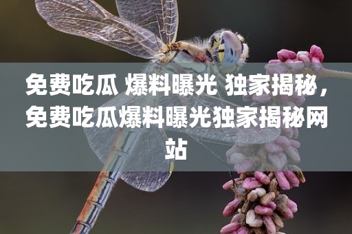 免费吃瓜 爆料曝光 独家揭秘，免费吃瓜爆料曝光独家揭秘网站