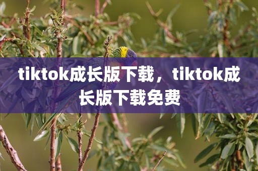 tiktok成长版下载，tiktok成长版下载免费