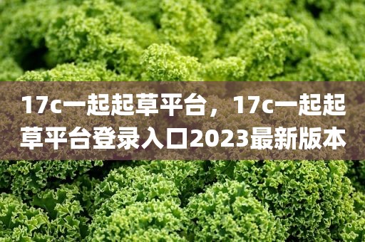 17c一起起草平台，17c一起起草平台登录入口2023最新版本