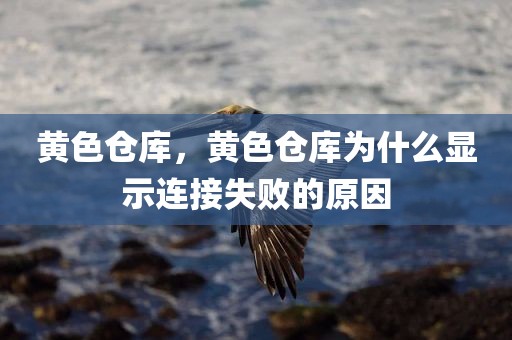 黄色仓库，黄色仓库为什么显示连接失败的原因