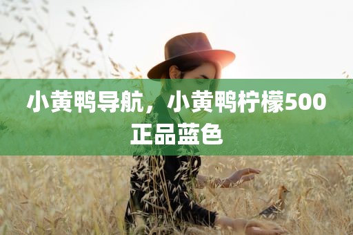 小黄鸭导航，小黄鸭柠檬500正品蓝色