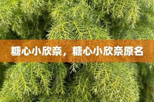 糖心小欣奈，糖心小欣奈原名