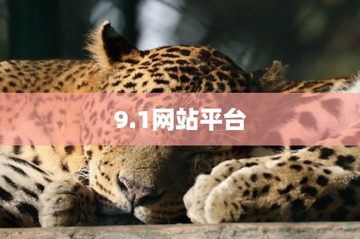 9.1网站平台