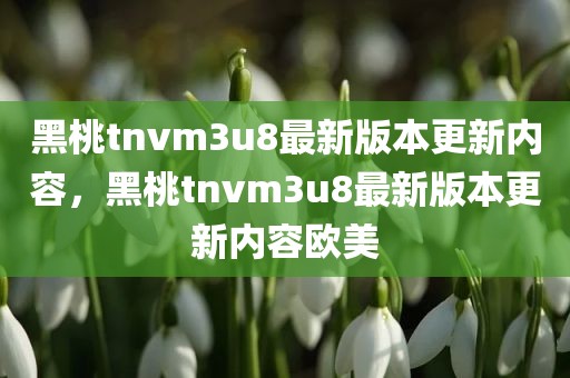 黑桃tnvm3u8最新版本更新内容，黑桃tnvm3u8最新版本更新内容欧美