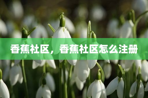 香蕉社区，香蕉社区怎么注册