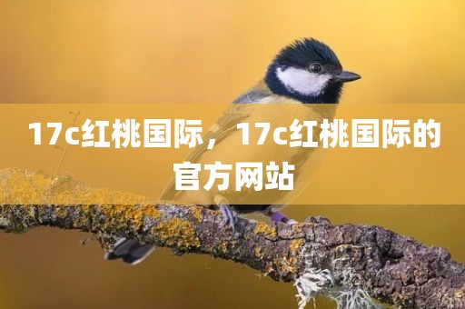 17c红桃国际，17c红桃国际的官方网站