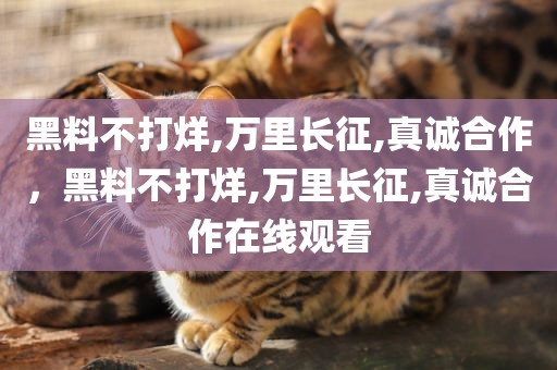 黑料不打烊,万里长征,真诚合作，黑料不打烊,万里长征,真诚合作在线观看