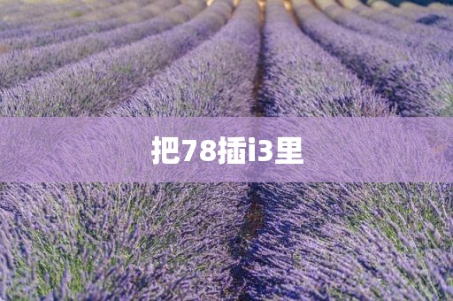 把78插i3里