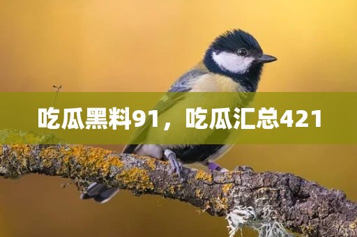 吃瓜黑料91，吃瓜汇总421