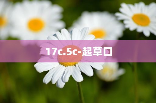 17c.5c-起草口