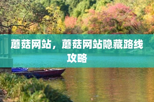 蘑菇网站，蘑菇网站隐藏路线攻略