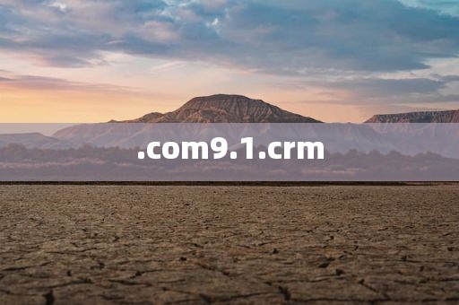 .com9.1.crm