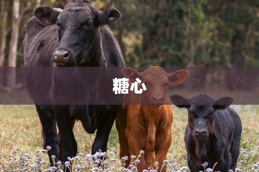 糖心