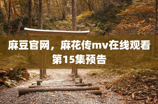 麻豆官网，麻花传mv在线观看第15集预告