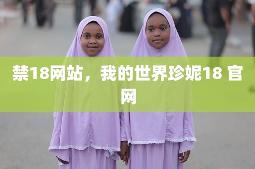 禁18网站，我的世界珍妮18 官网